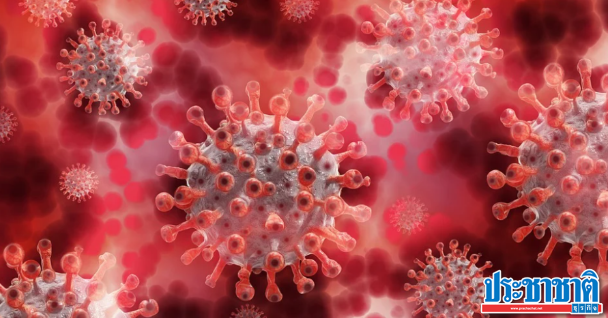 This image is not belong to us