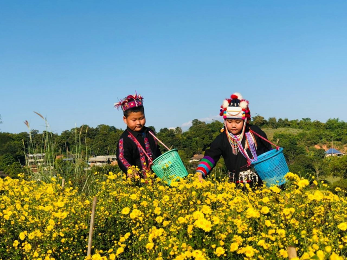 ปลูกเก๊กฮวย รวยกว่าที่คิด เปลี่ยนชีวิตเกษตรกร สวก. นำทางเพิ่มมูลค่า ผลิตภัณฑ์เกษตรได้สำเร็จ พัฒนากระบวนการแปรรูปจากงานวิจัยฯ