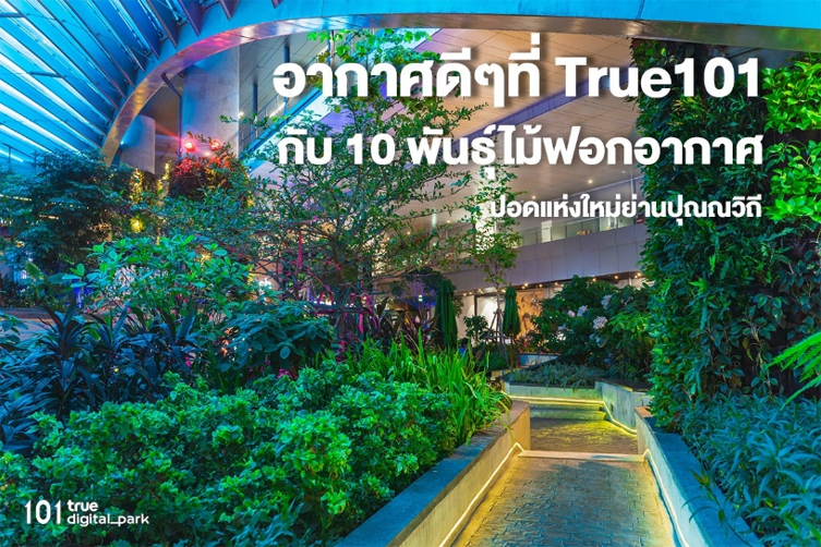 101 True Digital Park ตั้งการ์ดเข้มสู้โควิดรอบใหม่ จับมือร้านค้าทั่วศูนย์ ช้อป-ชิม-ชิลล์ อย่างปลอดภัยทุกพื้นที่