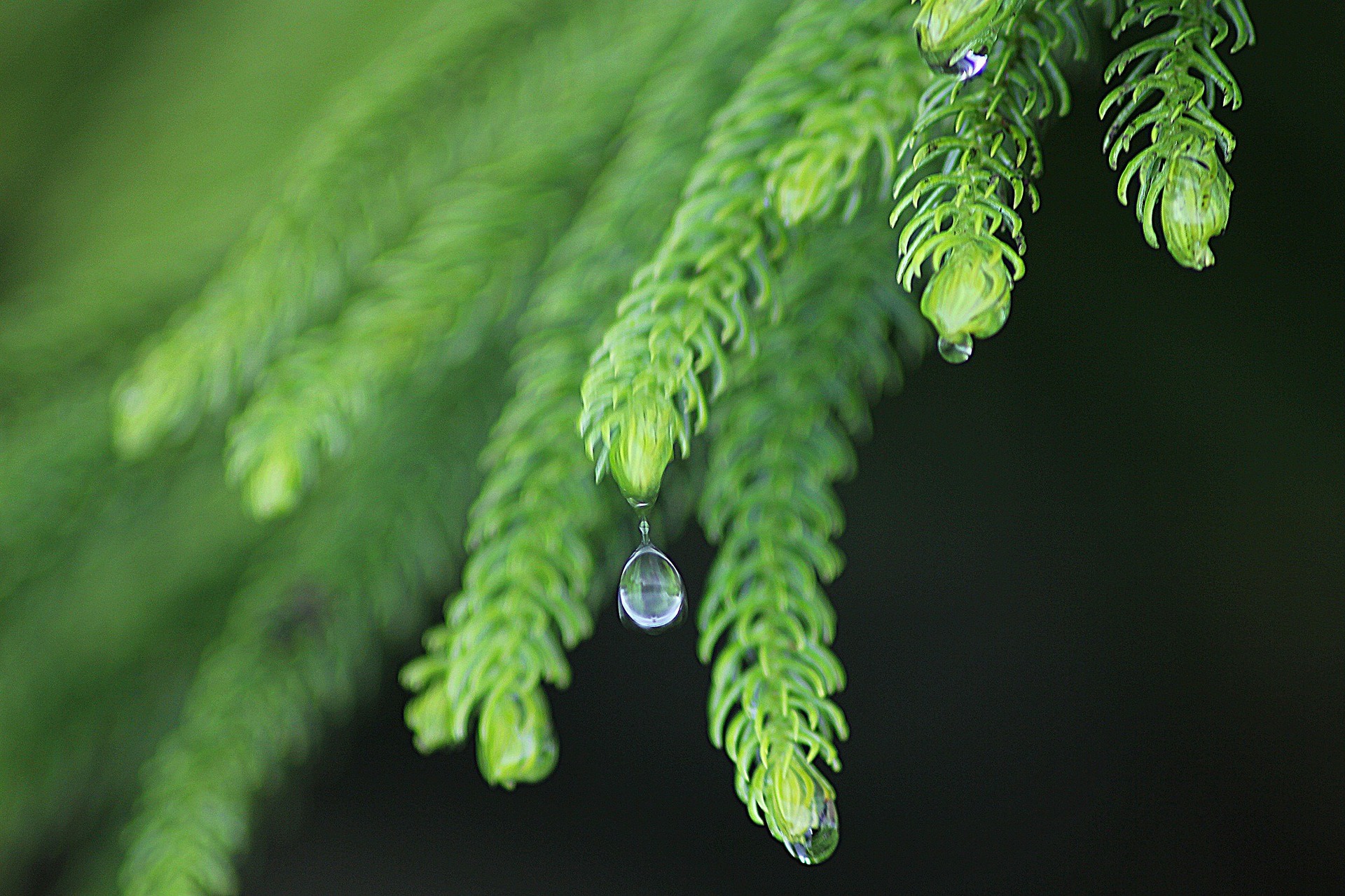 เม.ย. ฝนมาเร็ว-พายุฤดูร้อน “กอนช.” เตรียมรับน้ำ ระวังฝนทิ้งช่วง
