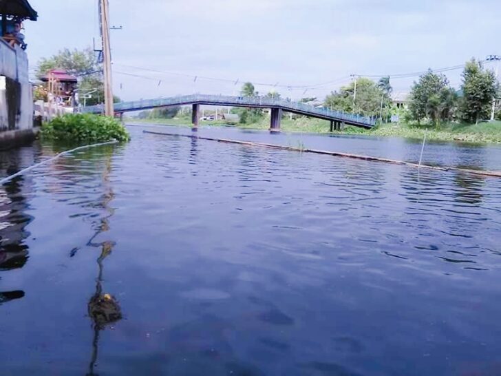 คลองชัยพฤกษ์
