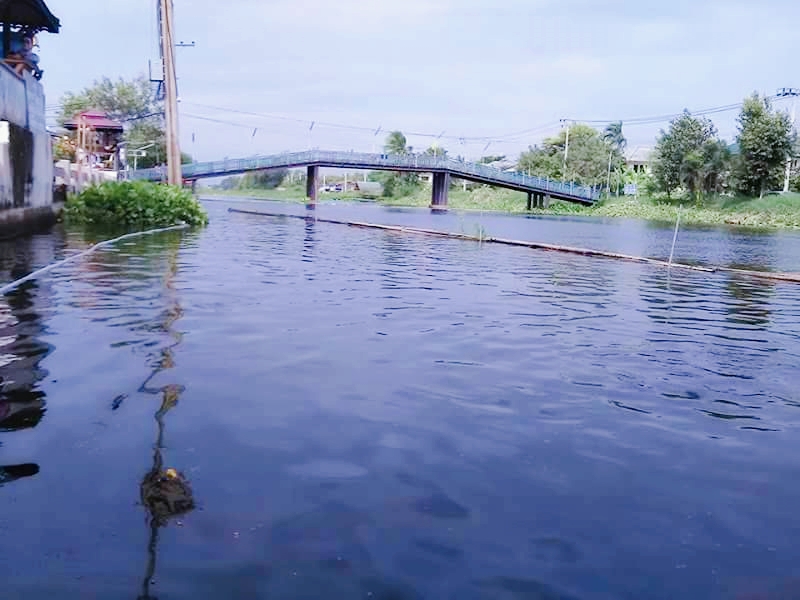 สนข.ผุด W-MAP เส้นทางเดินเรือทั่วกรุงฟีดเดอร์เชื่อมรถไฟฟ้า 10 สาย