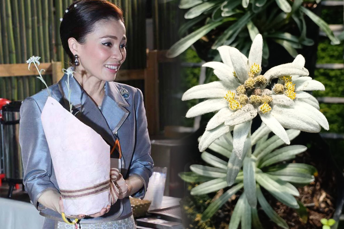 พระราชินี