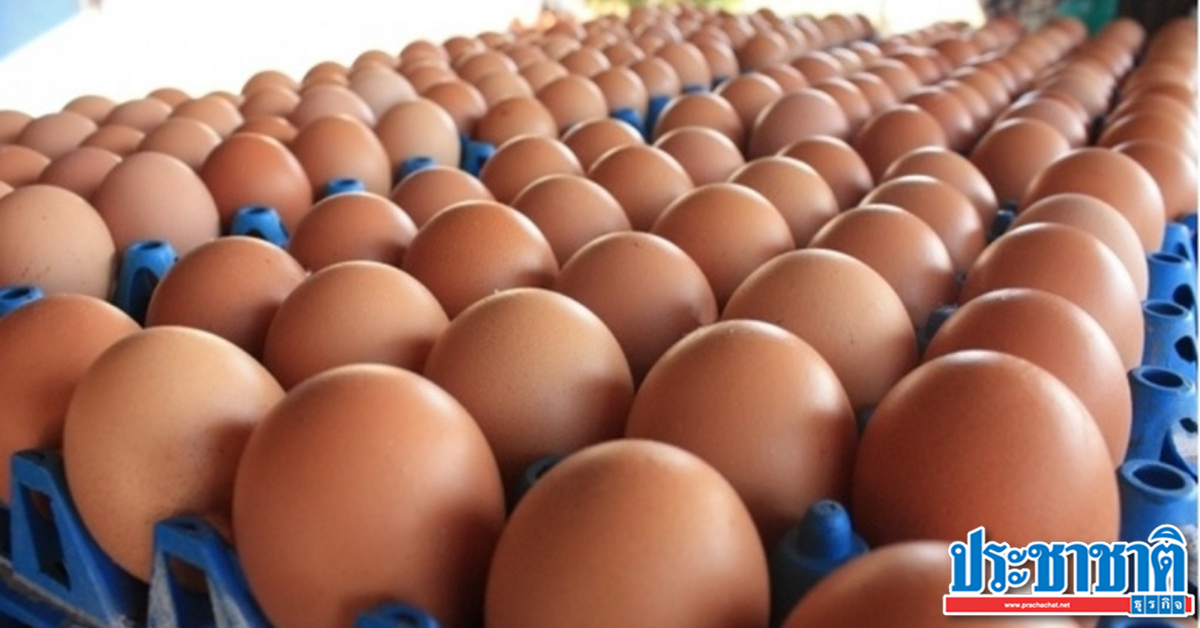 ไข่ไก่กลับมาแล้ว! สมาคมผู้ผลิต ผู้ค้าและส่งออก ยืนยันไม่ขาดแน่ - Vimarsana News