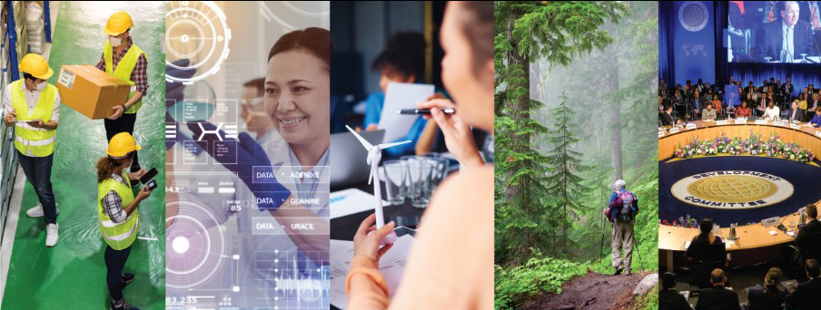 เปิดข้อมูล 5 SDGs พลิกวิกฤตโควิด-19 สู่ความยั่งยืน