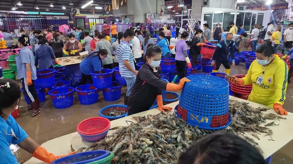 สมุทรสาครพบโควิดใหม่เฉพาะใน รพ. 19 ราย เปิด “ตลาดกลางกุ้ง” แล้วเช้าวันนี้