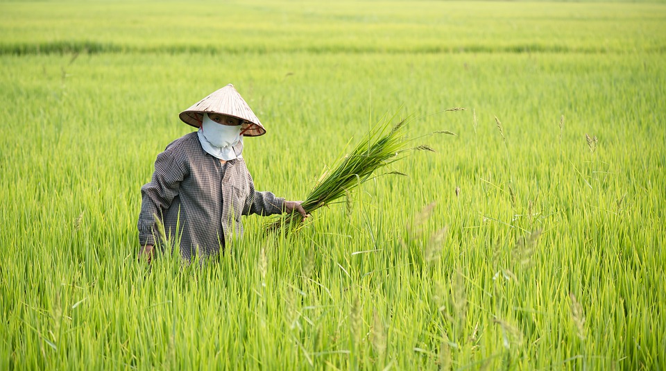 กรมชลฯ พร้อมรับมือหน้าแล้ง เตรียมน้ำปลูกนาปรัง 6.47 ล้านไร่