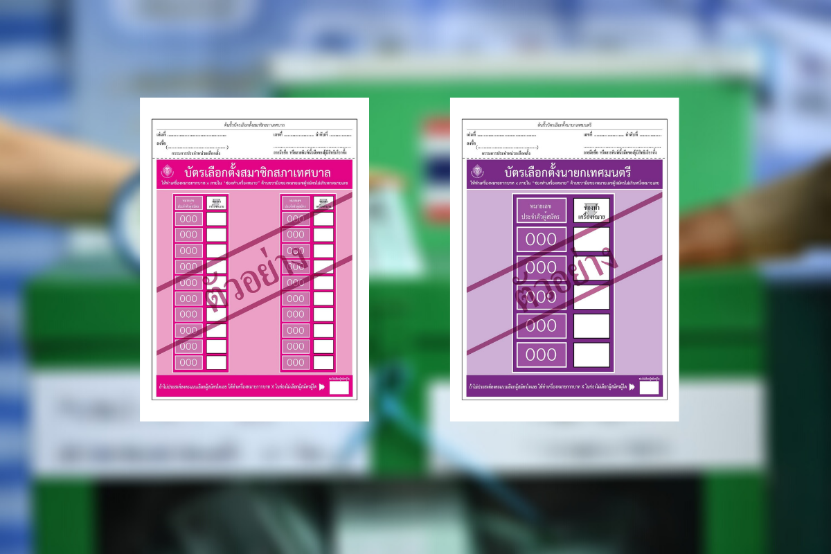 เปิดตัวอย่างบัตรเลือกตั้งเทศบาล 28 มี.ค. “สีม่วง-ชมพู” ใช้อย่างไร?