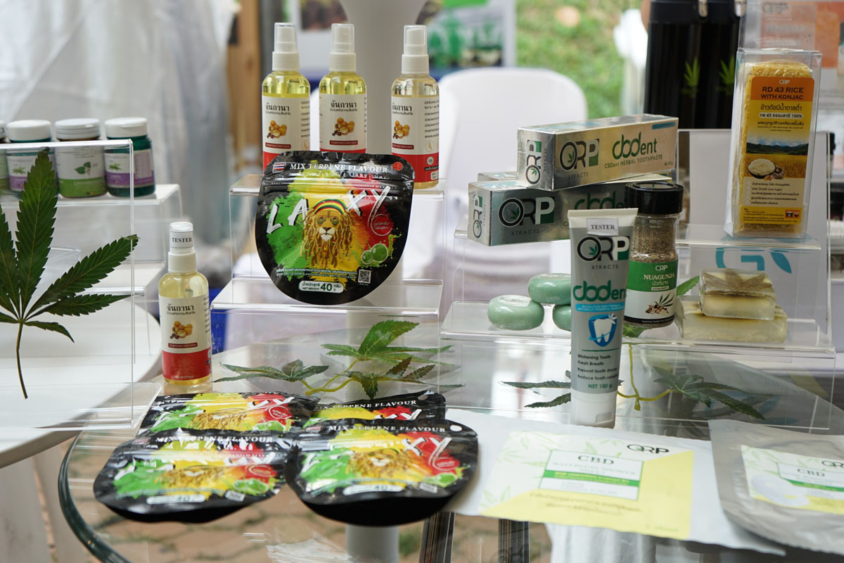 “กัญชา” ตลาดใหม่โตแรง ธุรกิจแห่ต่อยอด…เพิ่มรายได้