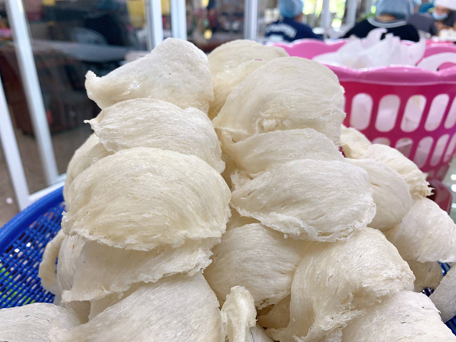 เอกชนตรังจี้ทบทวนประมูลสัมปทานรังนก