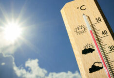 กรมอุตุ