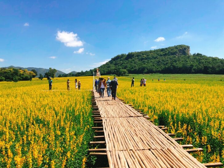 ตรวจสอบมาตรการเข้า-ออก แต่ละจังหวัด ตรวจสอบมาตรการเข้า-ออก แต่ละจังหวัด