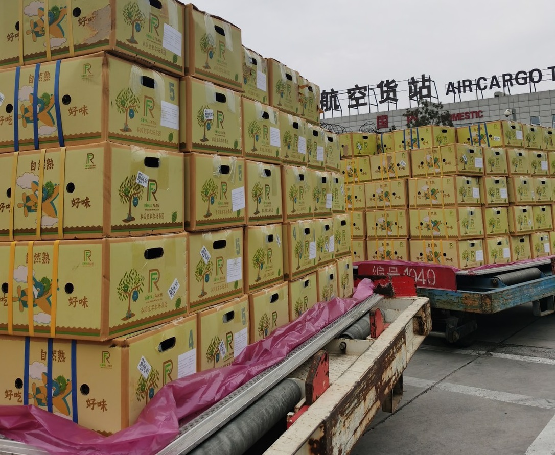 ทุเรียนพรีเมียมไทยถึงเสิ่นเจิ้นแล้ว 20 ตัน จี้ทูตเกษตรบุกตลาดทุกมณฑลจีน