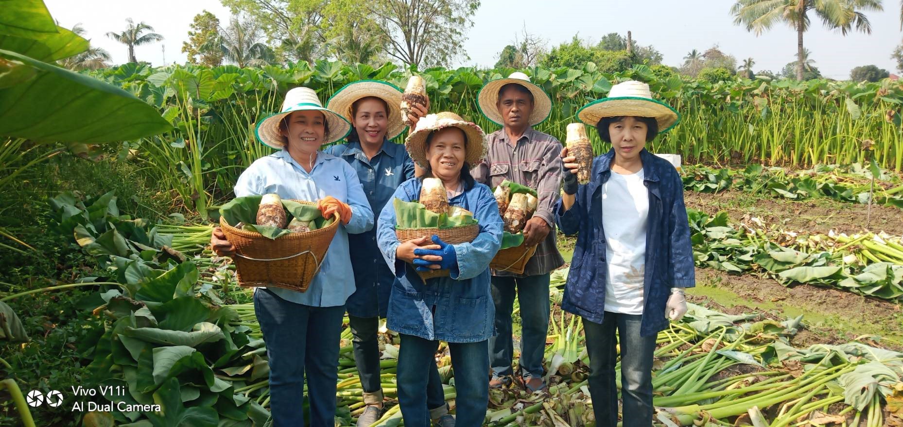 บางจากฯ สมนาคุณ ‘เผือกอิ่มใจ’ ผลิตภัณฑ์แปรรูปชุมชน ช่วยเหลือเกษตรกร