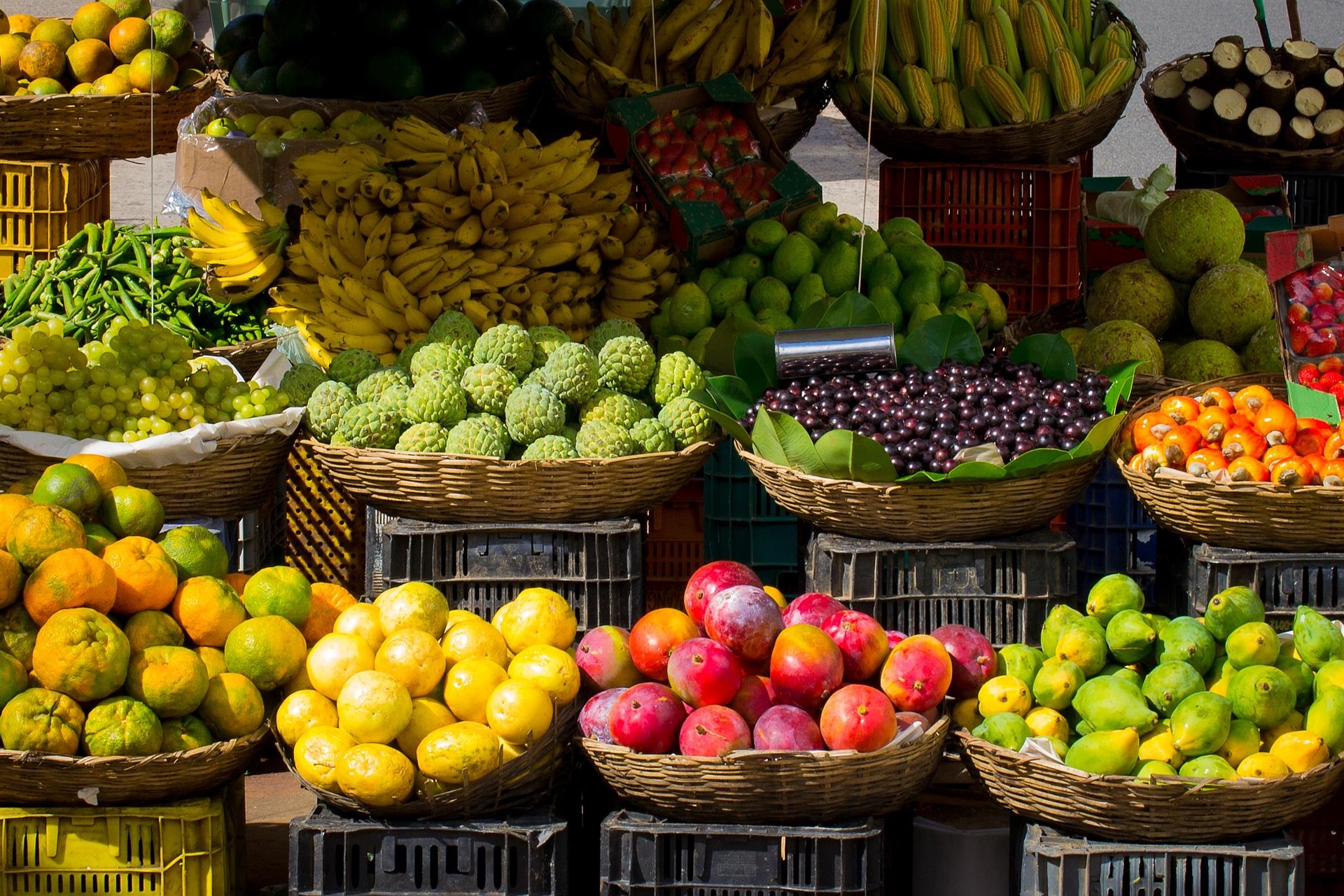 แผนส่งออกผลไม้ไทยไปจีน-ทะลวงคอขวด เร่งขยายตลาดตะวันออกกลาง