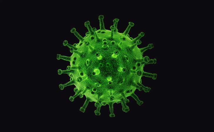 virus-4958150_960_720