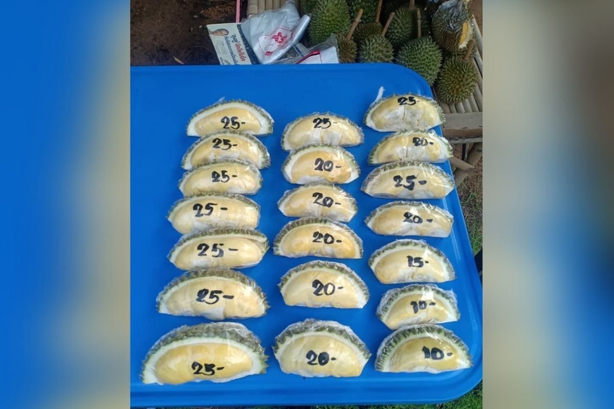 ทุเรียน