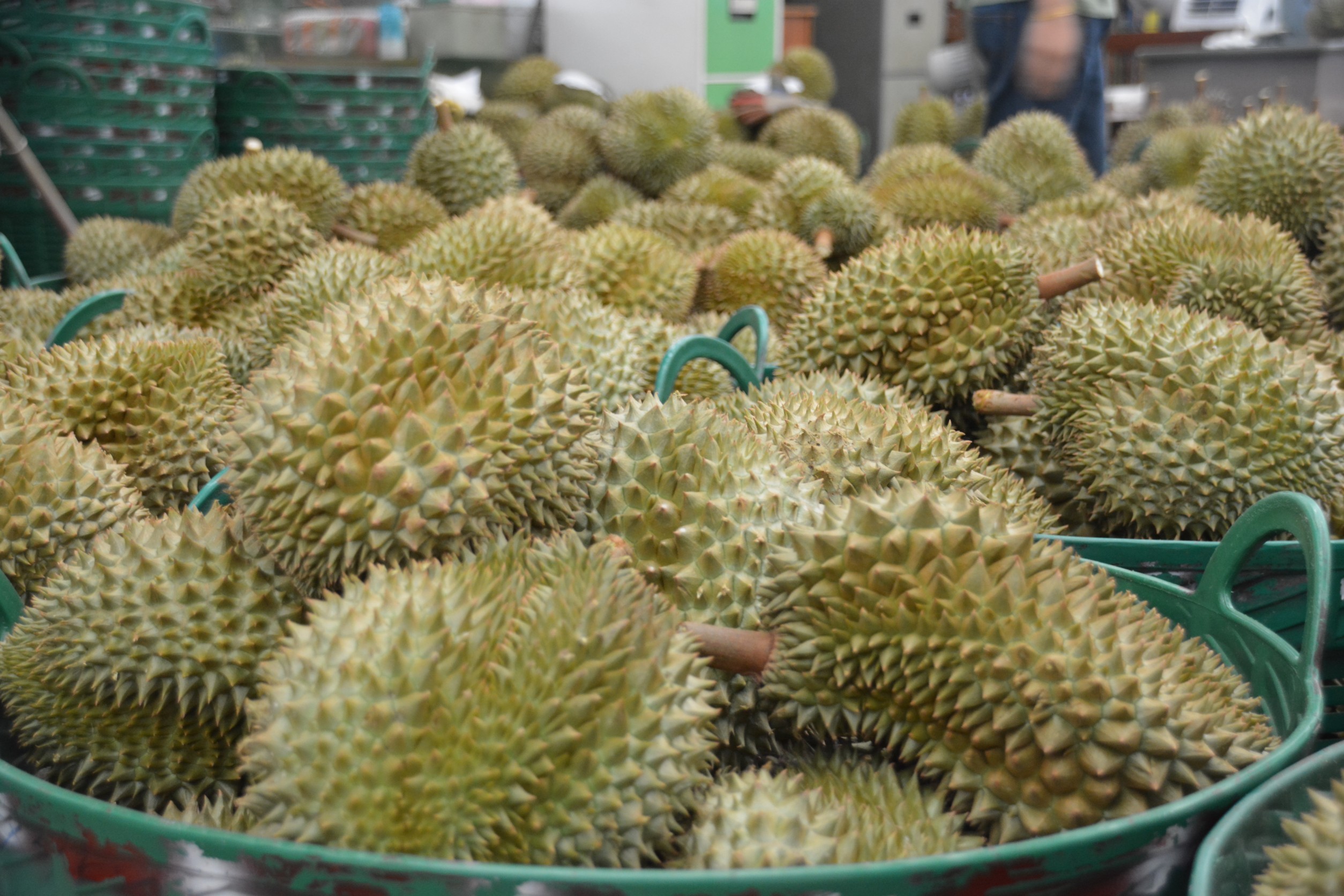 พาณิชย์เข้มสกัดสวมสิทธิ์ผลไม้ไทยส่งออกไปจีน