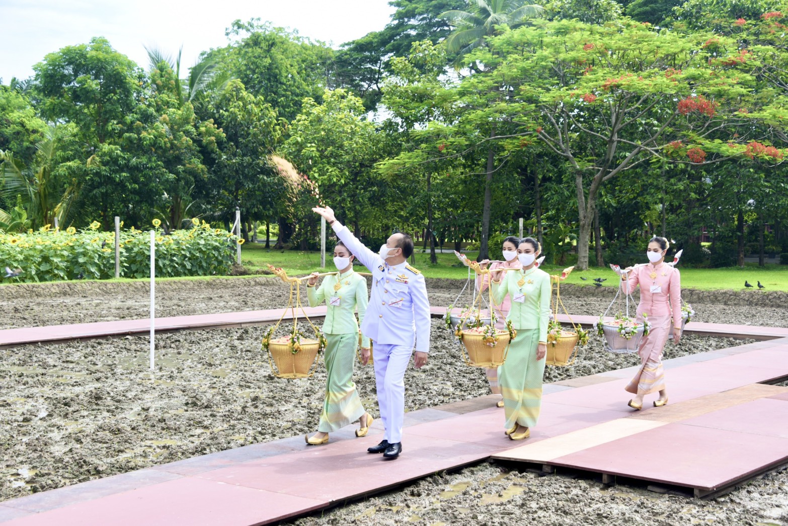 ชมภาพ พิธีหว่านข้าวพระราชพิธีพืชมงคลจรดพระนังคัลแรกนาขวัญ