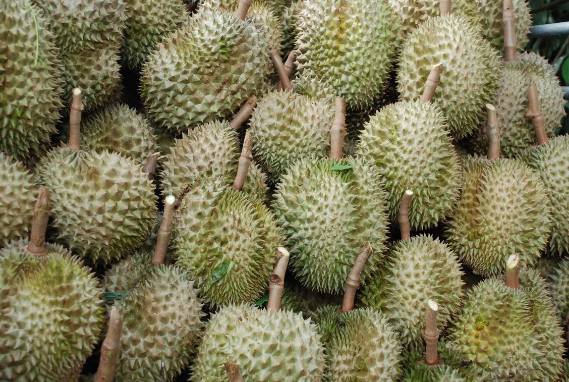 หวั่นระงับนำเข้า จีนยกระดับตรวจเข้มผลไม้ไทยต้องปลอดเชื้อโควิด