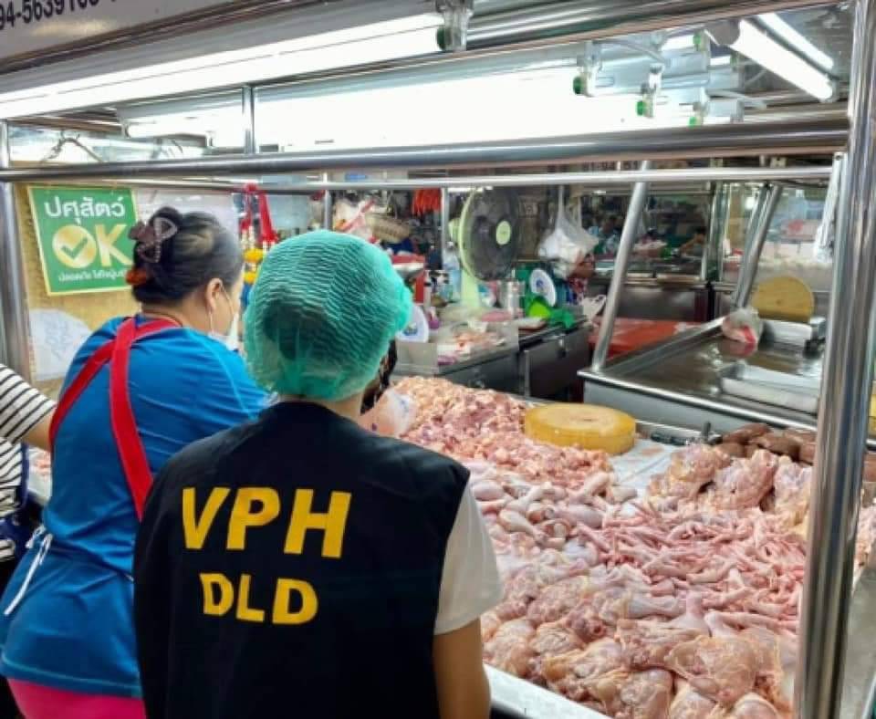 อธิบดีปศุสัตว์ยันเนื้อไก่ปลอดภัย ไม่ปนเปื้อนเชื้อโควิด-19