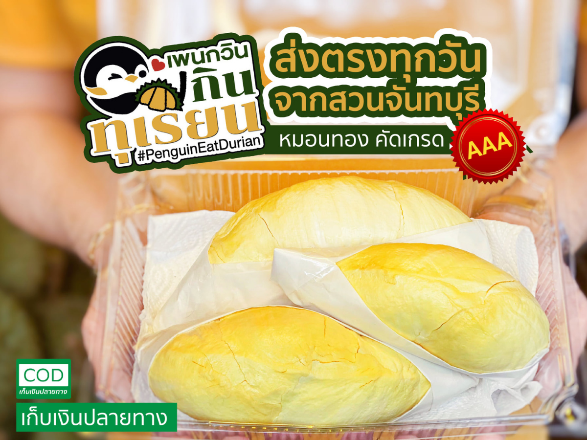 เพนกวินอีทชาบู ขายทุเรียนหมอนทอง ส่งถึงบ้าน จำกัดวันละ 50 กก.
