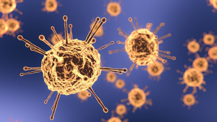 coronavirus-4942077_960_720