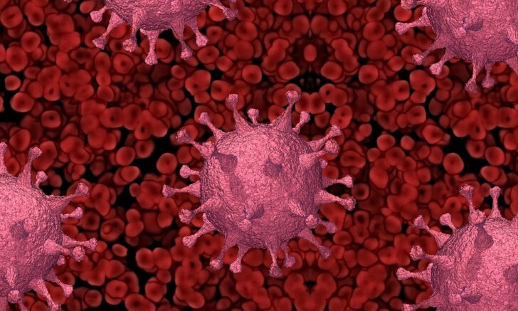 virus-5939842_960_720 virus