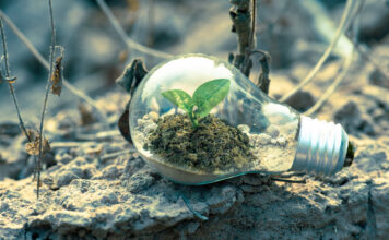 ภาพจาก : Singkham - Pexels