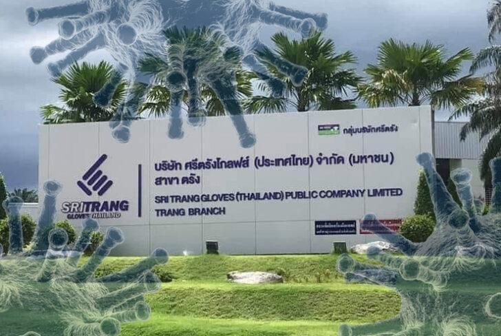 ศรีตรังโควิด