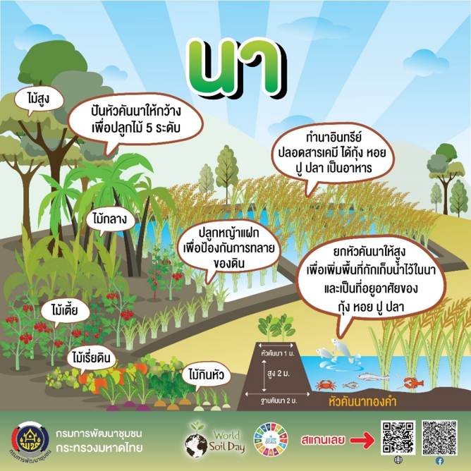 กรมการพัฒนาชุมชน จะช่วยทำให้พี่น้องประชาชน ตามหลักทฤษฎีใหม่ประยุกต์สู่ “โคก หนอง นา”