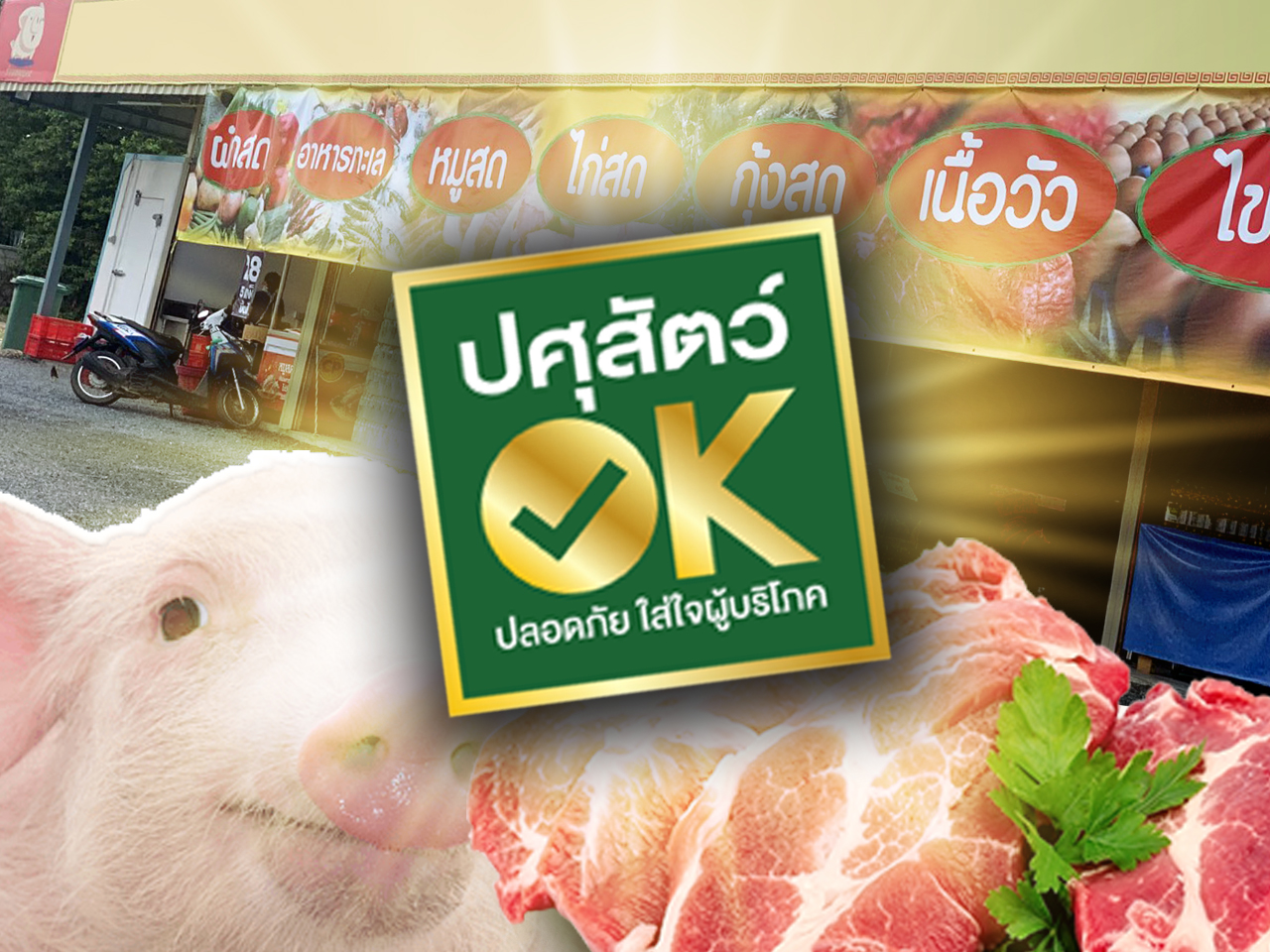ร้านขายหมูห้องแถวโผล่พรึ่บ ไม่หวั่นโรคระบาดถล่มราคาชาบูโลละ 100