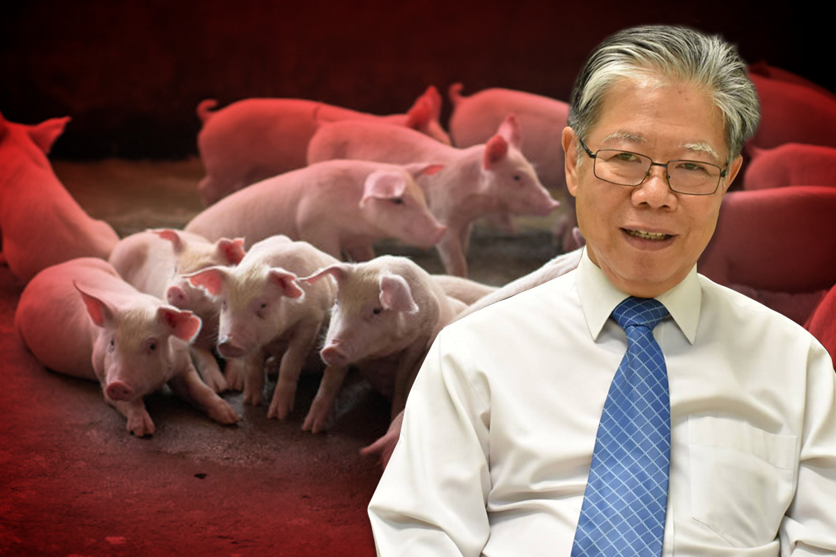 ประพัฒน์ ปัญญาชาติรักษ์ ไม่มีหลักฐานว่าไทยเกิด อหิวาต์หมู