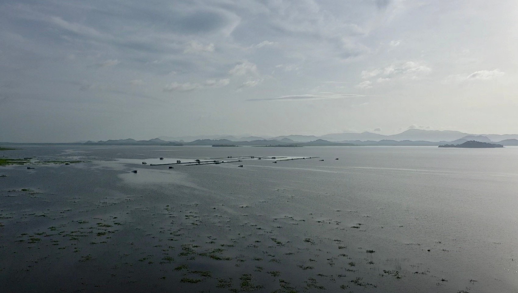 ประวิตรสั่งเร่งแผนช่วยชาวนาเจอฝนทิ้งช่วง โต้ประเด็น แล้งทำข้าวยืนต้นตาย