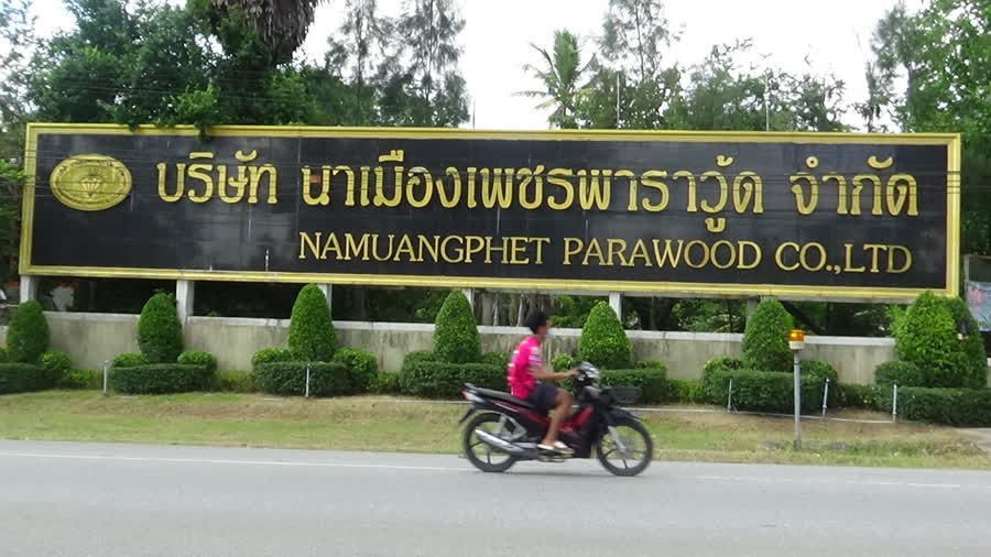 คลัสเตอร์โรงงานนาเมืองเพชร ติดโควิดเพิ่ม 52 ราย โยงคลัสเตอร์ศรีตรังฯ