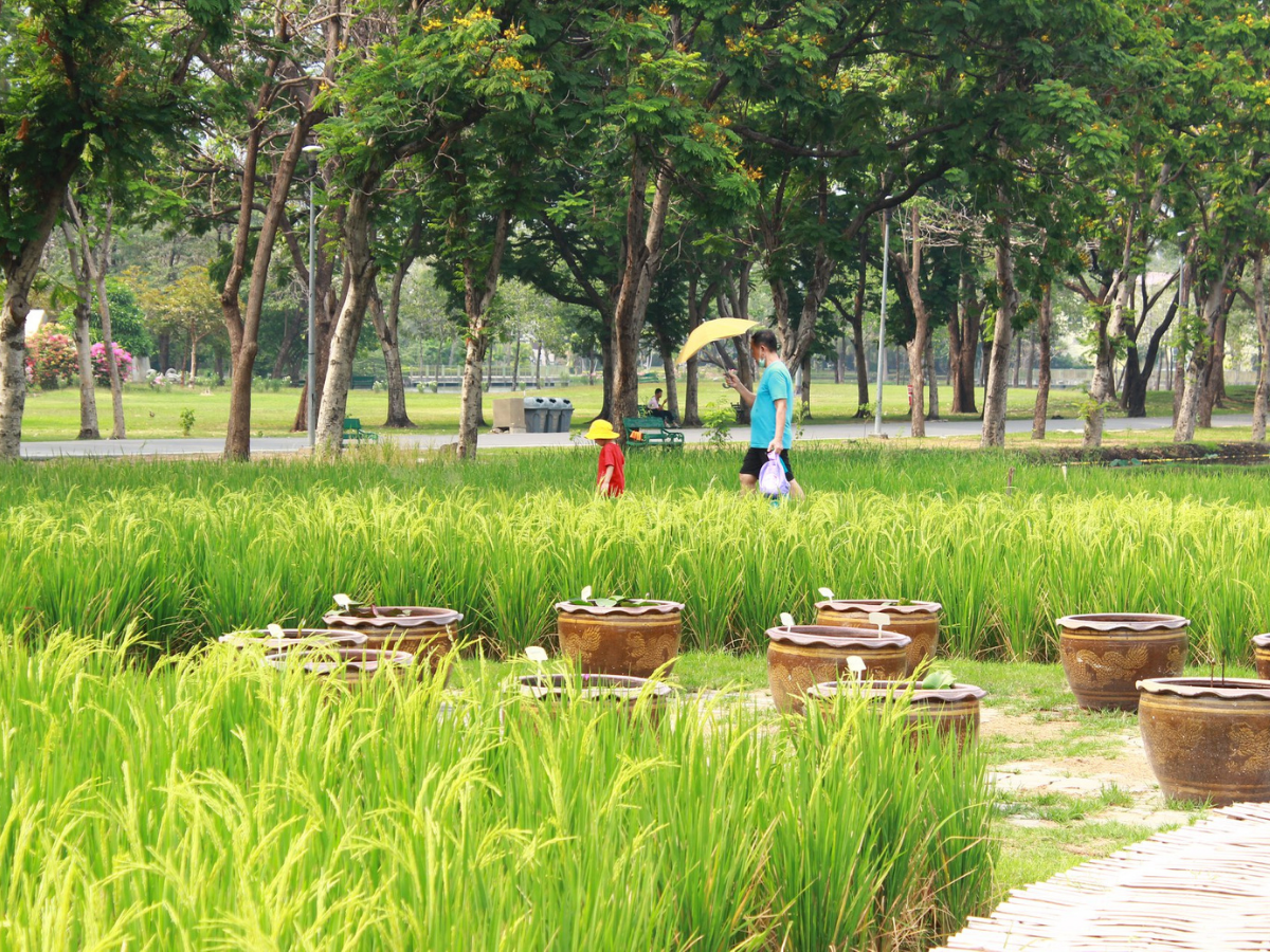 สำนักงานสวนสาธารณะตอบแล้ว ทำไมยังไม่เปิดบริการ
