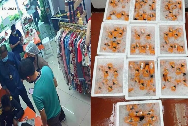 ล่อซื้อน้ำส้ม-1024x683