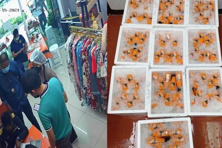 ล่อซื้อน้ำส้ม ล่อซื้อน้ำส้ม