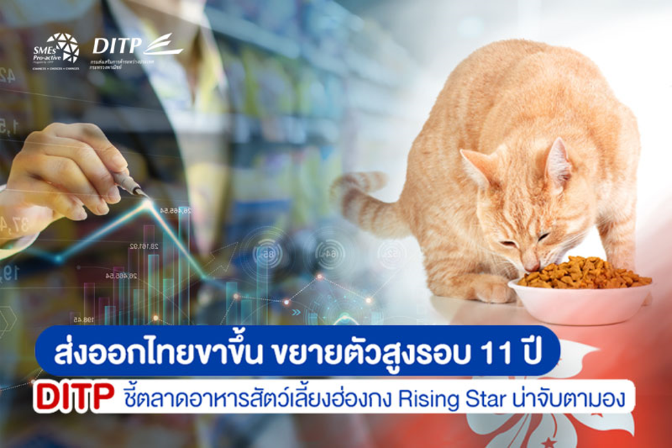 ส่งออกไทยขาขึ้น ขยายตัวสูงรอบ 11 ปี DITP ชี้ตลาดอาหารสัตว์เลี้ยงฮ่องกง Rising Star น่าจับตามอง