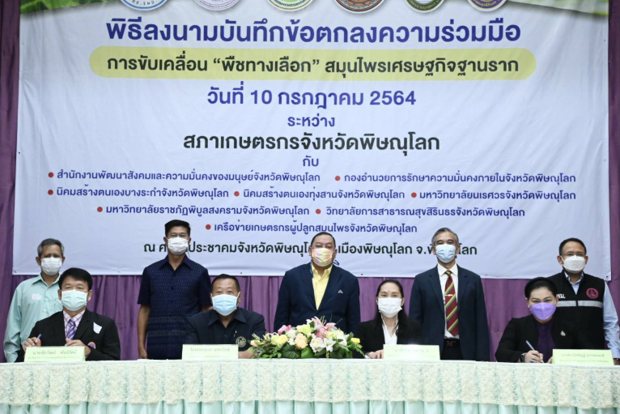 กระทรวงการพัฒนาสังคมฯ เปิดโมเดลพัฒนา “พืชทางเลือก”