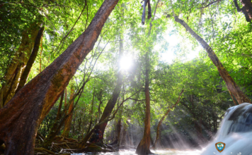 เปิด-ปิดอุทยานแห่งชาติที่ไหนบ้าง เช็กที่นี่