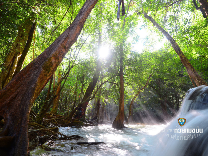 เปิด-ปิดอุทยานแห่งชาติที่ไหนบ้าง เช็กที่นี่ เปิด-ปิดอุทยานแห่งชาติที่ไหนบ้าง เช็กที่นี่
