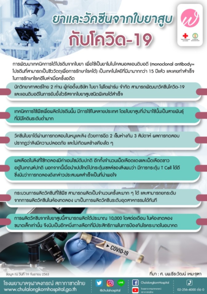 วัคซีนใบยา