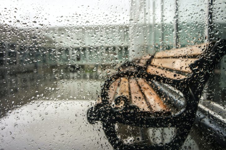 ฝนตก ฝนตก