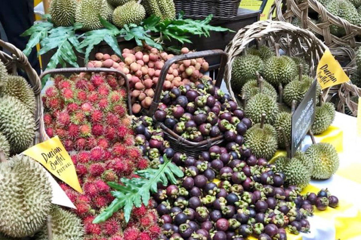 นโยบาย European Green Deal กระทบสินค้าเกษตร-อาหารส่งออก
