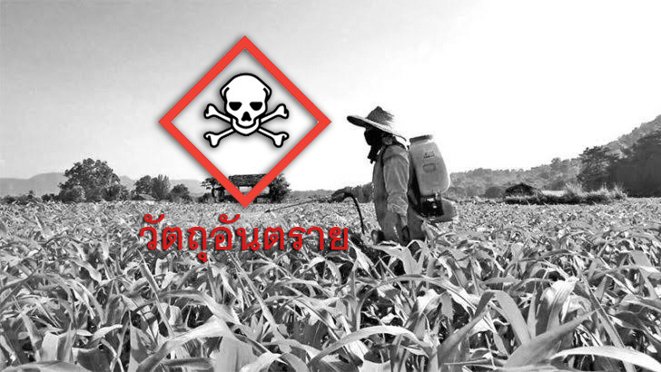 ลุ้นแก้กฎหมายวัตถุอันตรายอีกรอบ เสียงแตกปมดึงต่างชาตินั่งกรรมการ