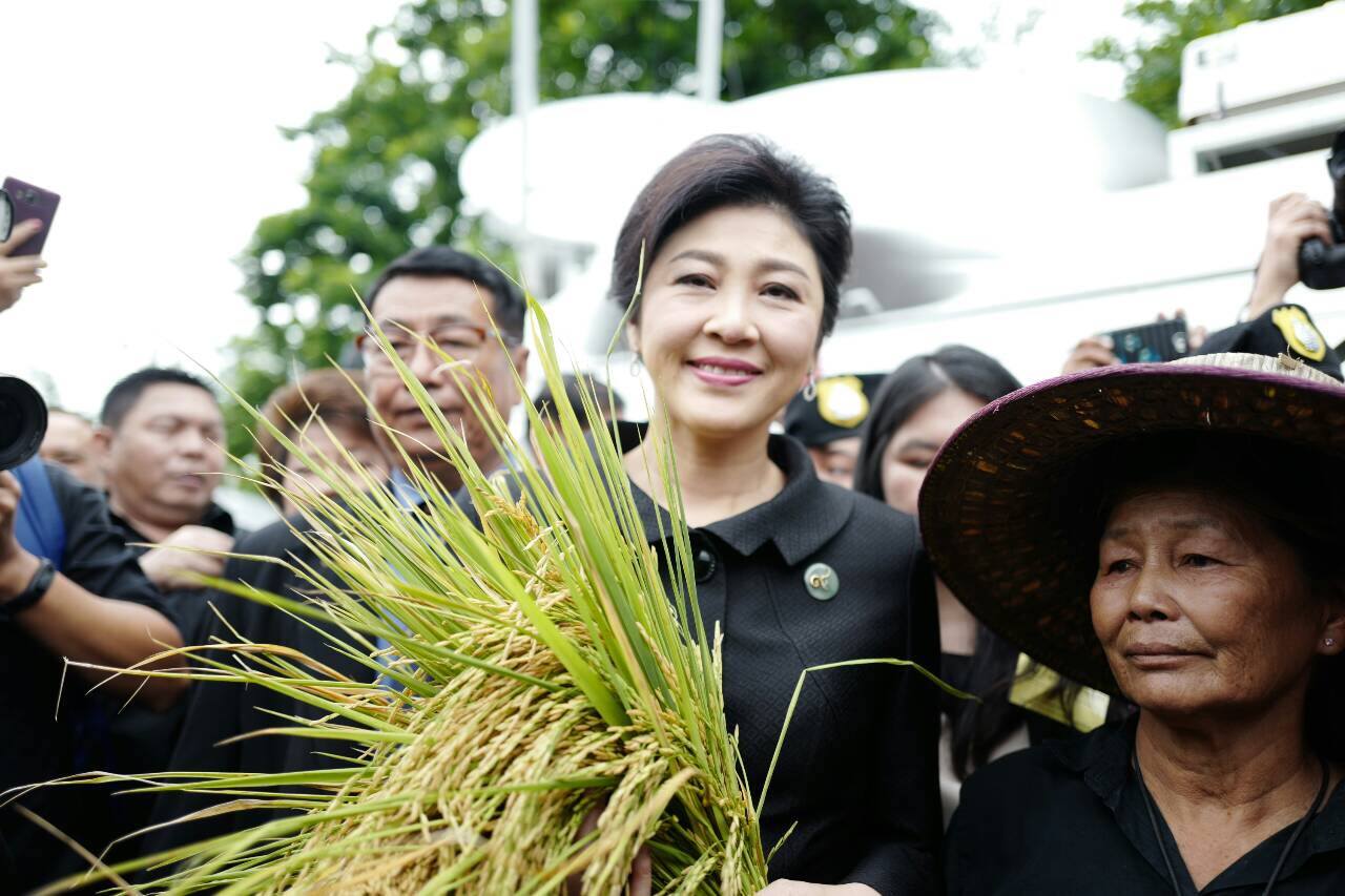 “ยิ่งลักษณ์” เห็นใจชาวนา ราคาข้าวตกต่ำ ไม่มีกินมีใช้ จวกรัฐบาลล้มเหลว
