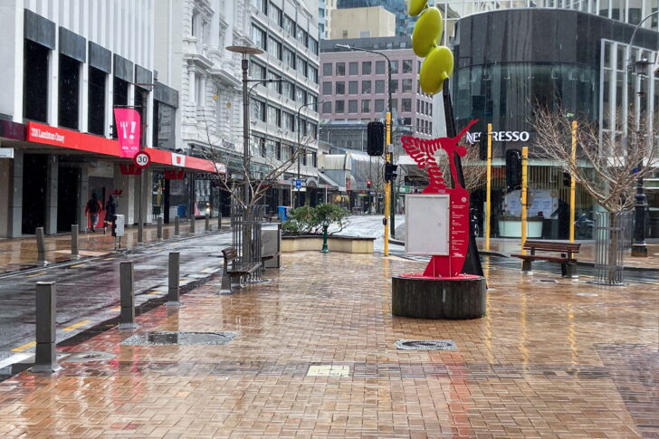 The first day of a COVID-19 lockdown in Wellington