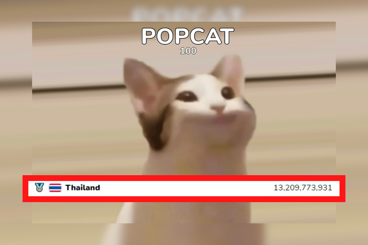 กระแส #POPCAT ของชาวเน็ตในไทยถล่มทลายจ่อขึ้นเบอร์ 1 โลก – สังคม