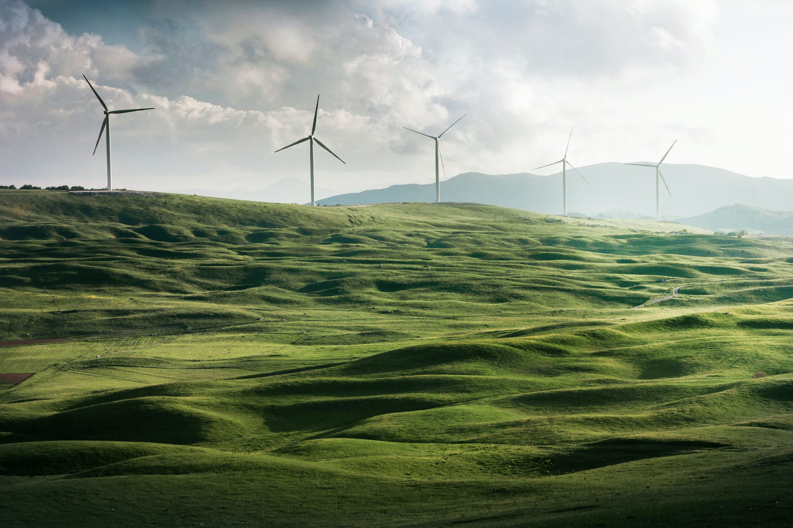 “บางจาก” ตั้งเป้า net zero ปี 2050 เพิ่มธุรกิจสีเขียว-ซื้อขายคาร์บอน